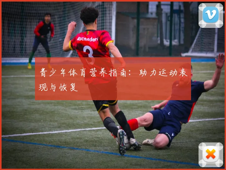 青少年体育营养指南:助力运动表现与恢复